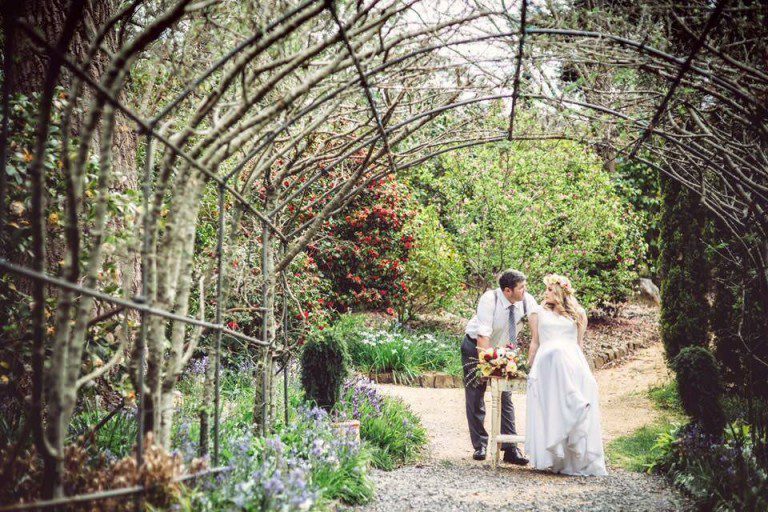 Event Gallery & Testimonials