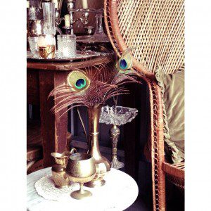 peacock_hire