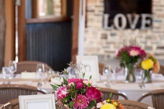Event Gallery & Testimonials