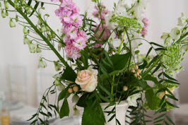 Event Gallery & Testimonials