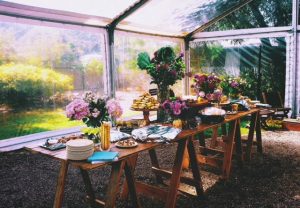 Engagement Party McLaren Vale April 2018