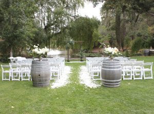 champagne and ice buckets