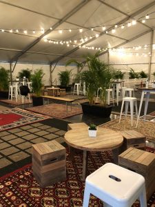 Bob Dylan/Vance Joy VIP area