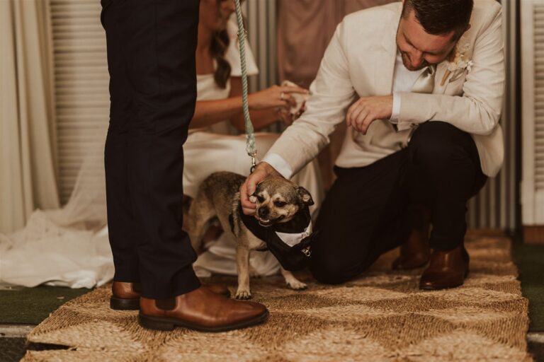 Event Gallery & Testimonials